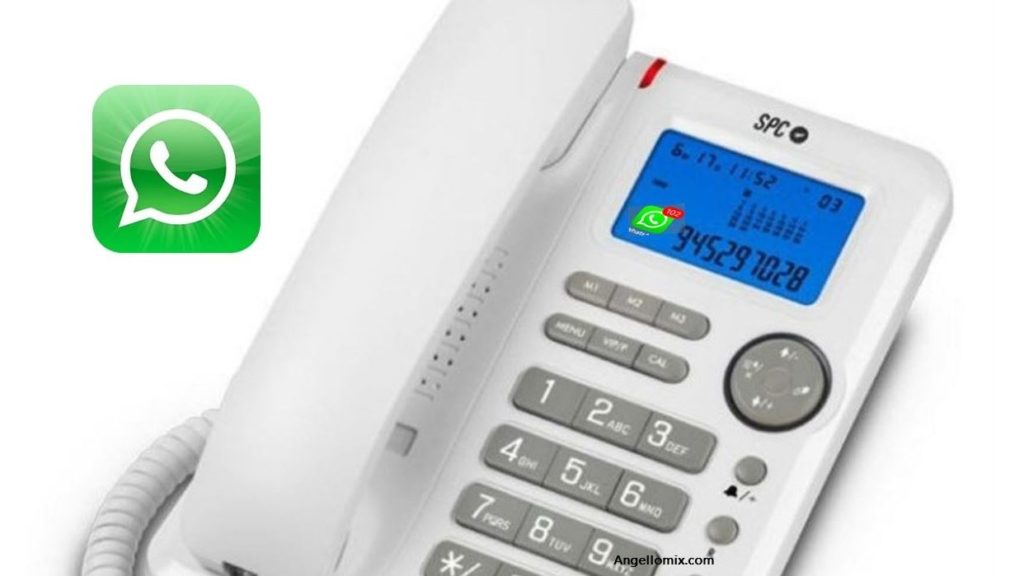 cropped Whatsapp Business en telefono fijo 2019 fijo