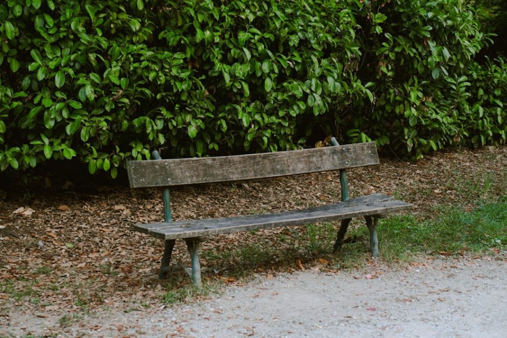 Automatizar Correos Electrónicos con n8n: Una Guía Completa para Mejorar la Eficiencia 2 portada 173